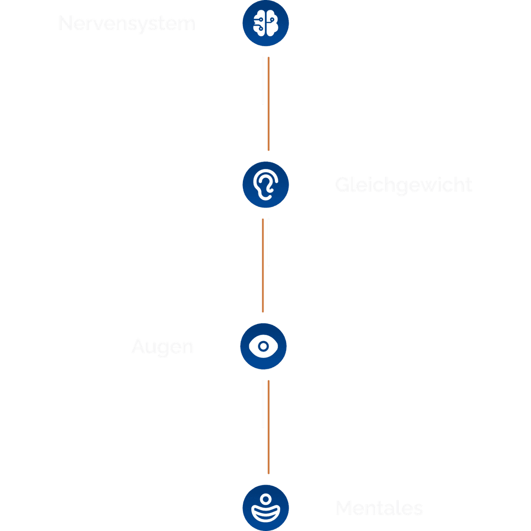 Ausbildung